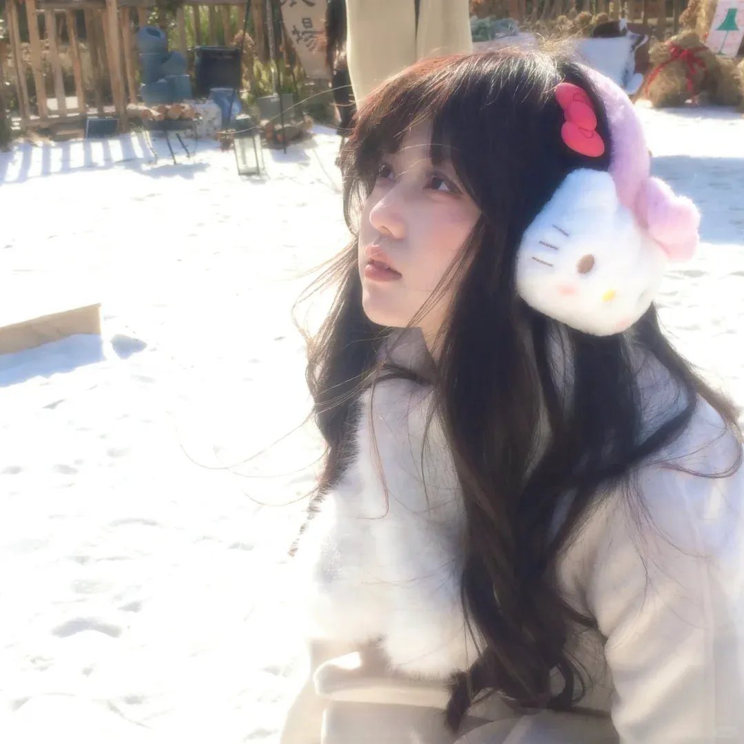 公主日记之皇家婚约