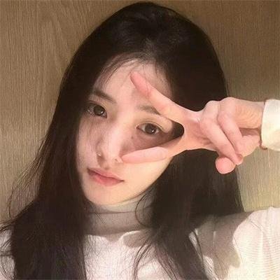 梦之森林